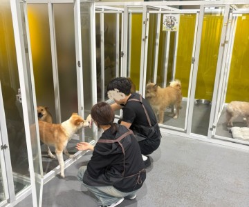 푸른나래봉사단 인천지부 유기견봉사활동